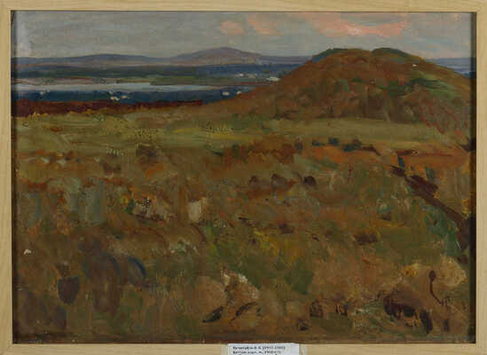 Нечитайло Василий Кириллович. Курган